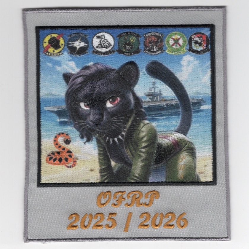 CVN-71/VF-213 OIF Cruise Patch (Green Oval) · AV8R Stuff